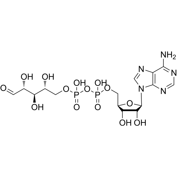 Adenosine 5′-diphosphoribose 20762-30-5